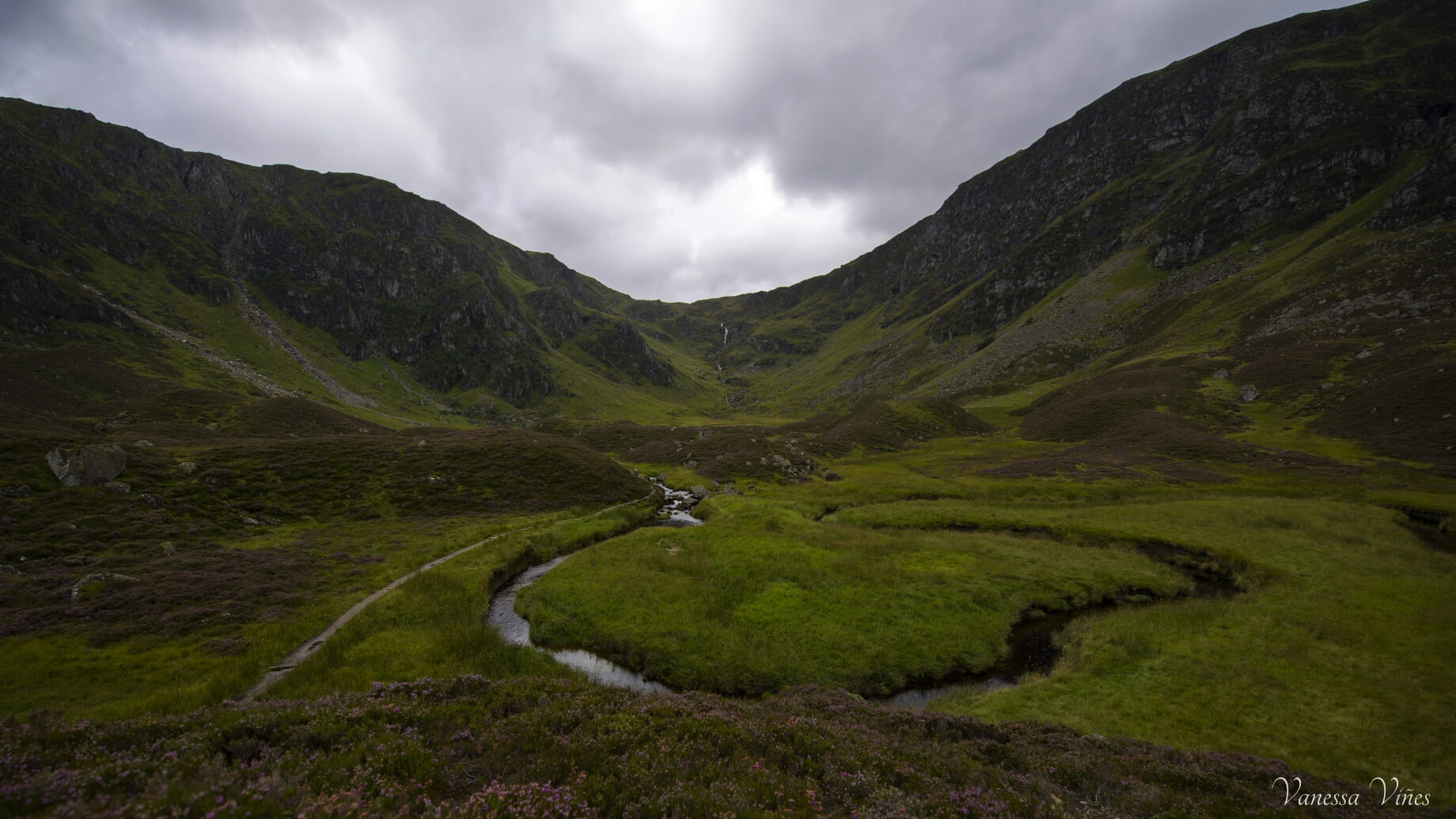 Corrie Fee