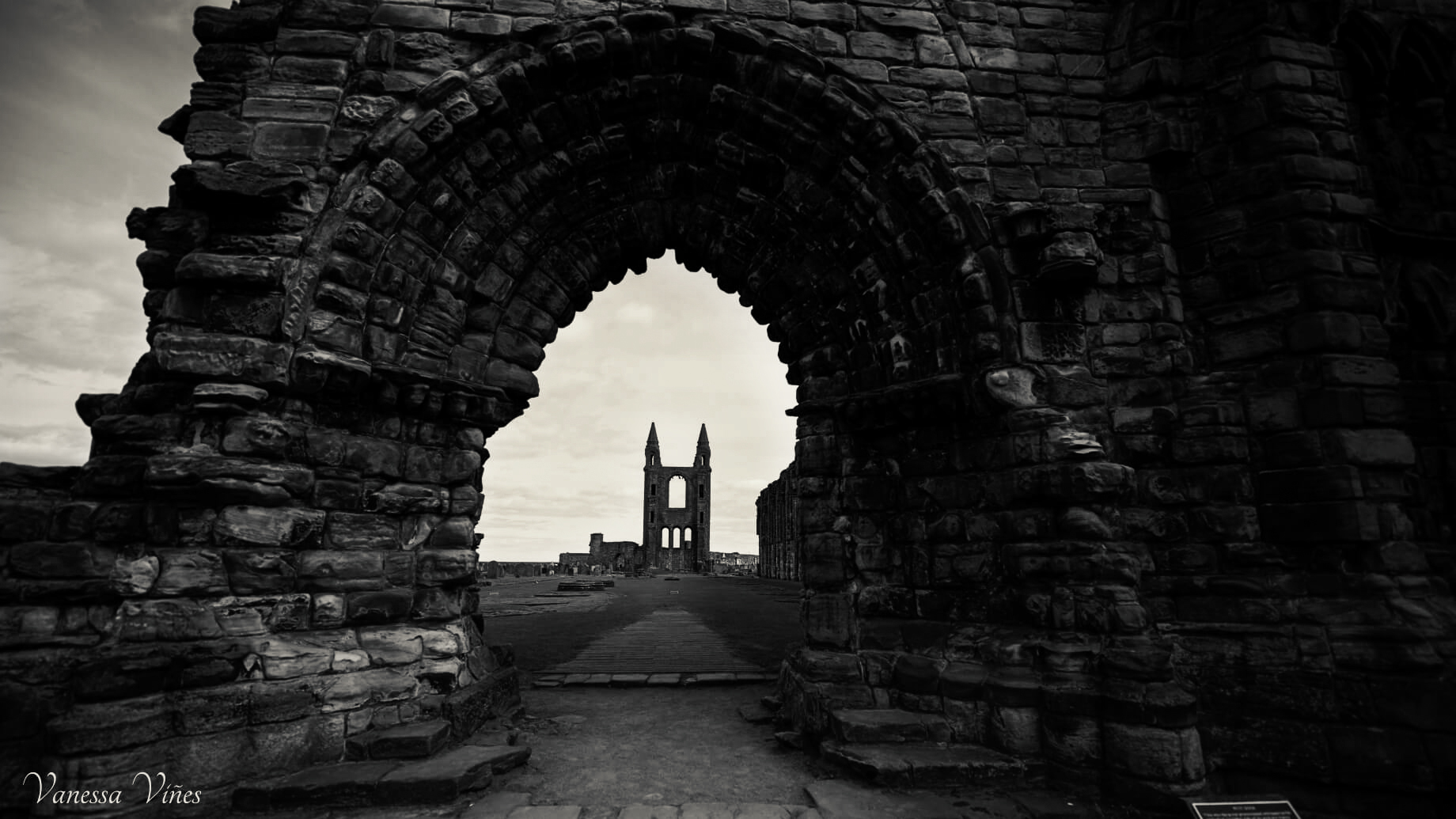 the old cathedral