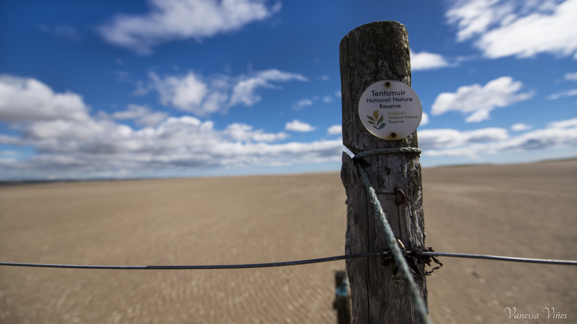 tentsmuir national reserve